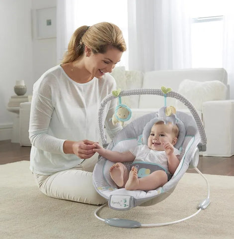 INGENUITY Morrison™ - Soothing Bouncer