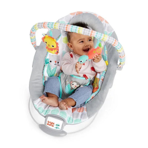 Bright Starts Whimsical Wild™ - Cradling Bouncer