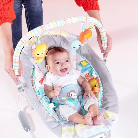 Bright Starts Whimsical Wild™ - Cradling Bouncer