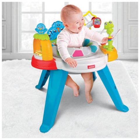 Baby Move Activity Center