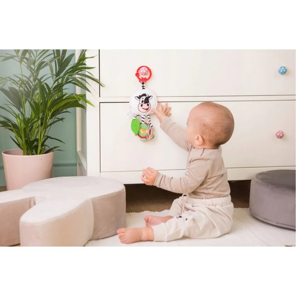 Bali Bazoo Double sided toy