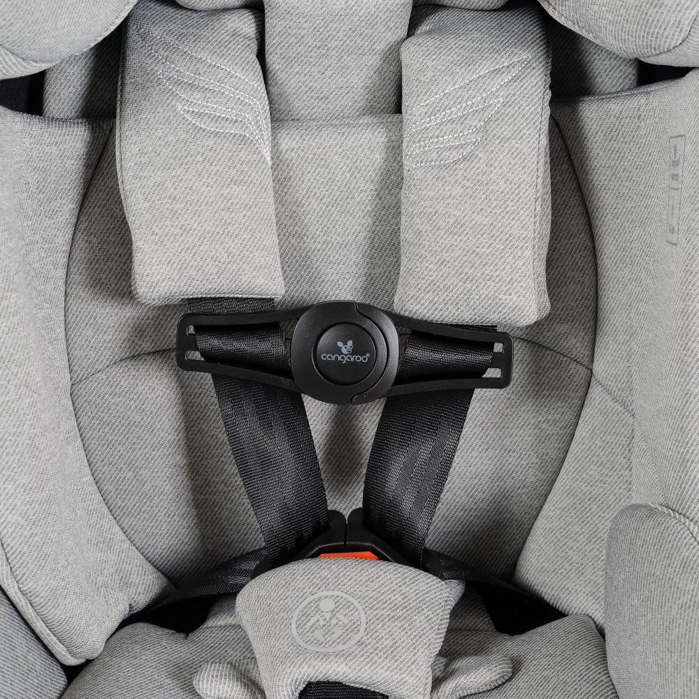 Cangaroo Child seat security clip Axero
