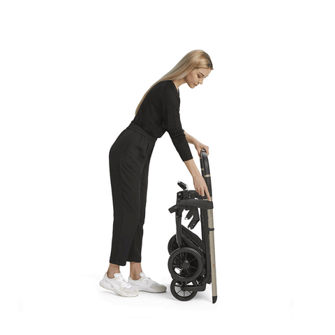 Inglesina Electa Quattro, Complete Stroller System with Darwin Recline Car Seat