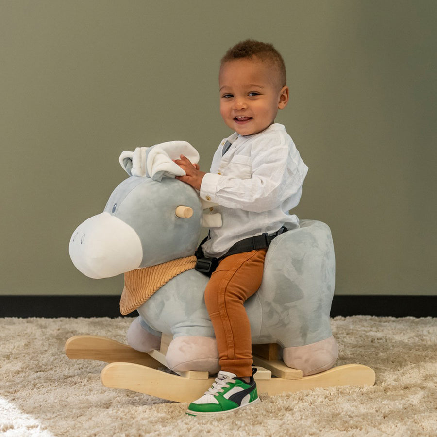 NATTOU Rocking Toy Lapidou Donkey 10m+