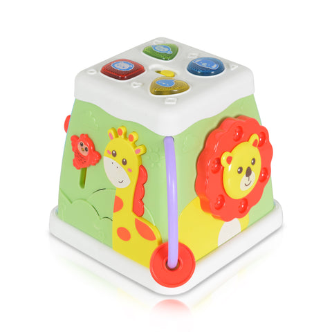 Cangaroo Activity cube