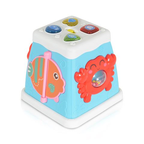 Cangaroo Activity cube
