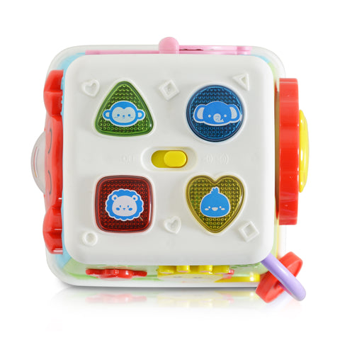 Cangaroo Activity cube