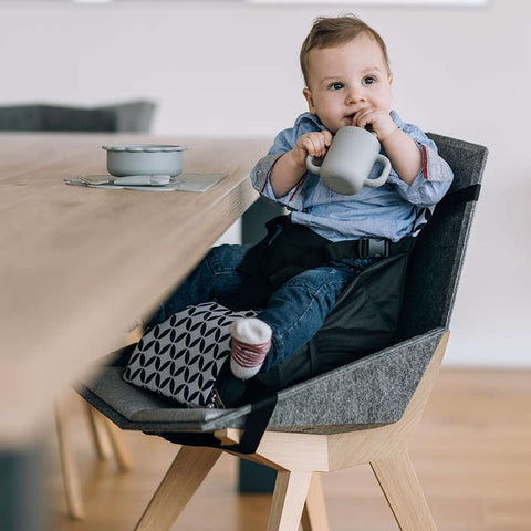 FreeON Fold & Go Portable High Chair Booster