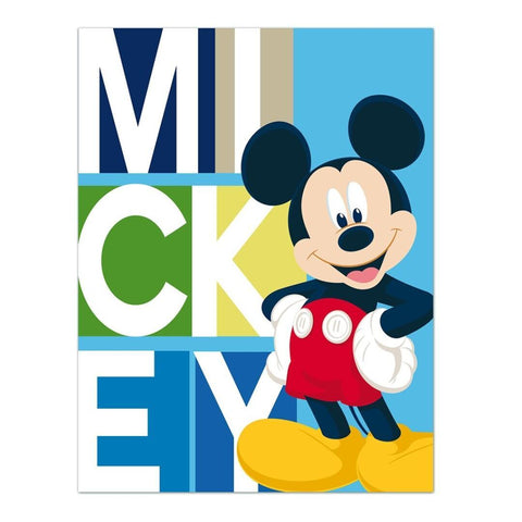 Textiel Trade - Textiel mickey fleece blanket - Mari Kali Stores Cyprus